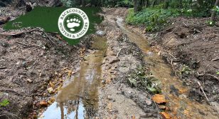 NC: Helene Storm Debris Removal Threatens Native Trout Habitat in Western North Carolina