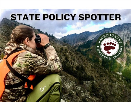 State Policy Spotter