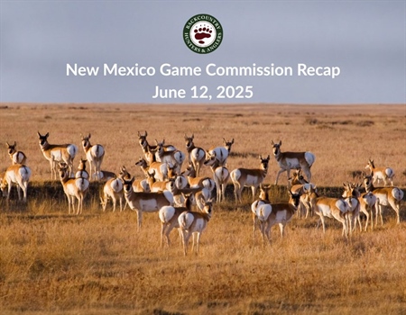6/12/2025 NM State Game Commission Recap