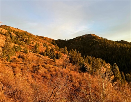 BHA Condemns Senate Proposal to Sell Off Up to 3 Million Acres of Public Lands