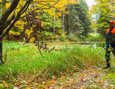Minnesota Heritage Forest Protects  Over 8,000 Acres of Public Land and Access