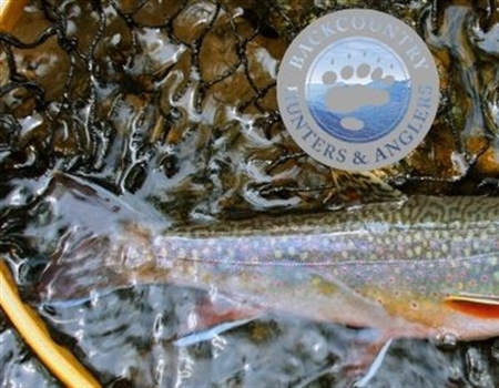 Trek For Trout in the Adirondacks