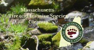 MA: A Tire and Invasive Species Cleanup RECAP