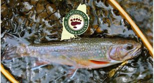 Women's Tenkara Fly Fishing 101 with CT DEEP