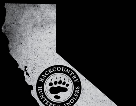 CA BHA 2025 Q1 Newsletter