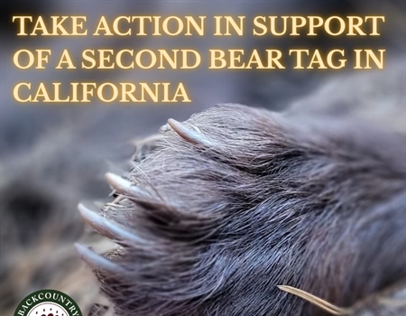 California BHA Drafts Resolution in Support of a Second Bear Tag & Submits a Petition to the Fish & Game Commission