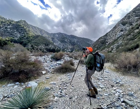 CA BHA San Gabriel Bighorn Survey Recap!