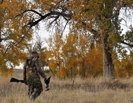 Efforts to Streamline the Sale of Public Lands for Housing Continue to Grow