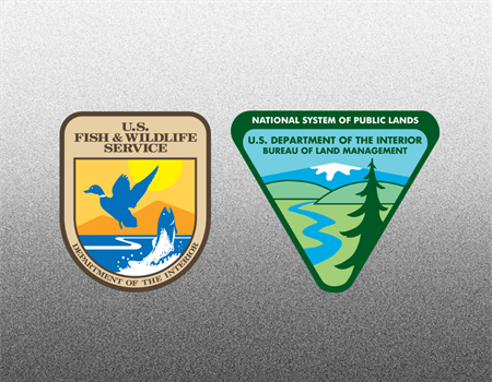 Backcountry Hunters & Anglers Responds to Key Nominations within Interior Department