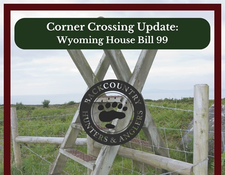 Wyoming BHA Response to House Bill 99