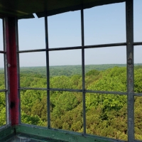 Public Comment Period - IN DNR Division of Forestry Strategic Direction