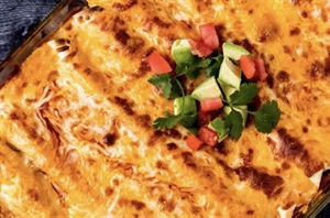 Elk Enchiladas
