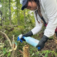 West Virginia BHA Chapter Leads Habitat Stewardship Work