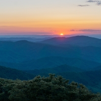 Cackalacky Caller Volume 1, 5th Edition