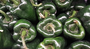 Venison Stuffed Poblano Peppers