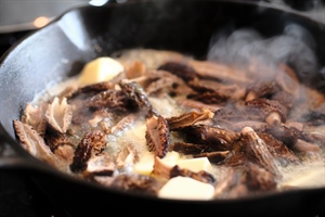 Springtime Pasta with Morels