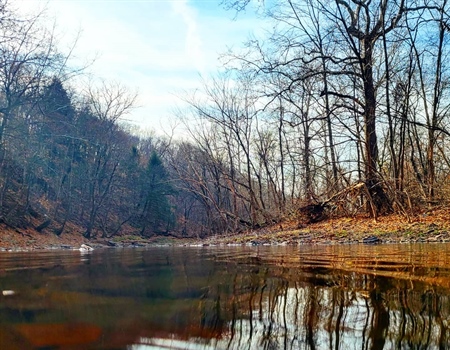 The Case of Mark Maynard vs. Sportsmen and Women Continues