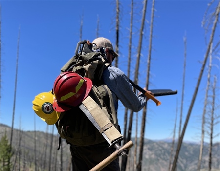 Idaho BHA Improves Trail Conditions in the Frank Church Wilderness
