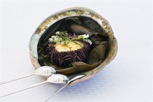 Catch + Cook for a Healthy Ocean Recap