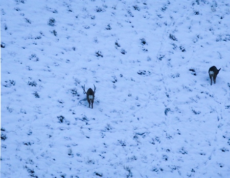 Idaho BHA submits comment letter on Harris Ranch LWCF Acquisition