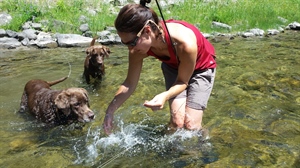 The Only Cutthroat Fly You will Ever Need