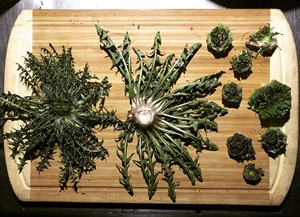 Salted Wild Greens