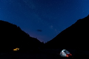 Connecting People with Wild Places