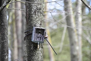 Live Action Game Cameras