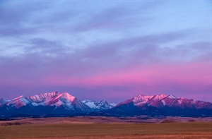 From Backcountry Journal: Crazy Business