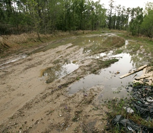 BHA White Paper: Impacts of ATVs on the Landscape and Wildlife