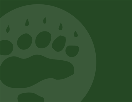 Off-Highway Vehicle Abuse