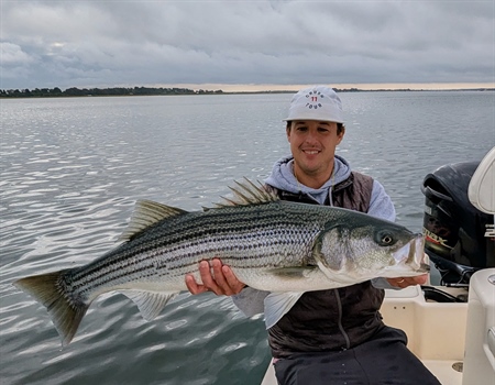 Atlantic Striped Bass Draft Addendum III