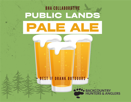 Public Lands Pale Ale 2025