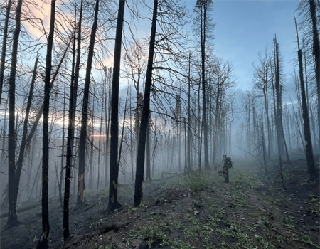 Backcountry Hunters & Anglers: Federal Shutdown Compounds Threats to Public Lands