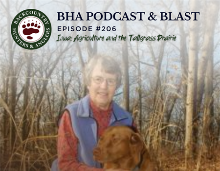 Iowa: Agriculture and the Tallgrass Prairie