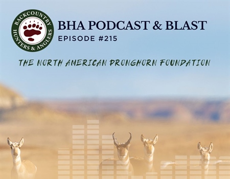 The North American Pronghorn Foundation