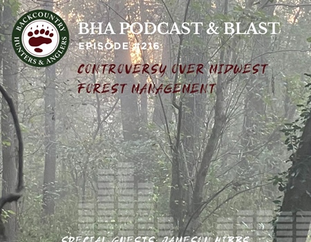 Controversy over Midwest Forest Management