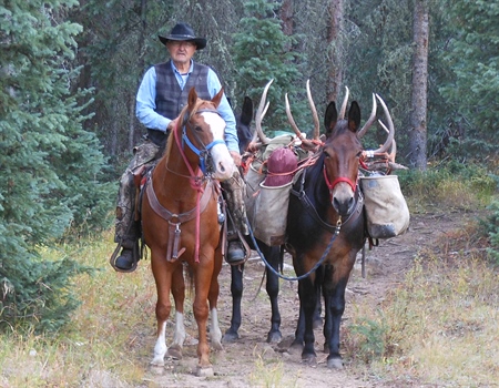 Roadless Rule Rollback: Roads to Ruin