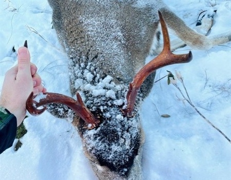 Keeping the Tongass Wild:  What the Latest Tongass National Forest Assessment Means for Alaska’s Hunters and Anglers