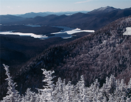 NY Adirondack Park-Whitney Estate