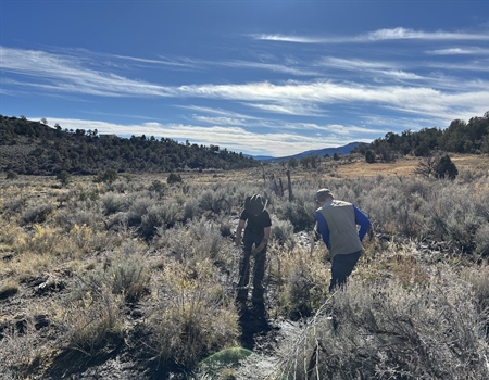 Aquaduct Fence Removal Report - Manco, CO
