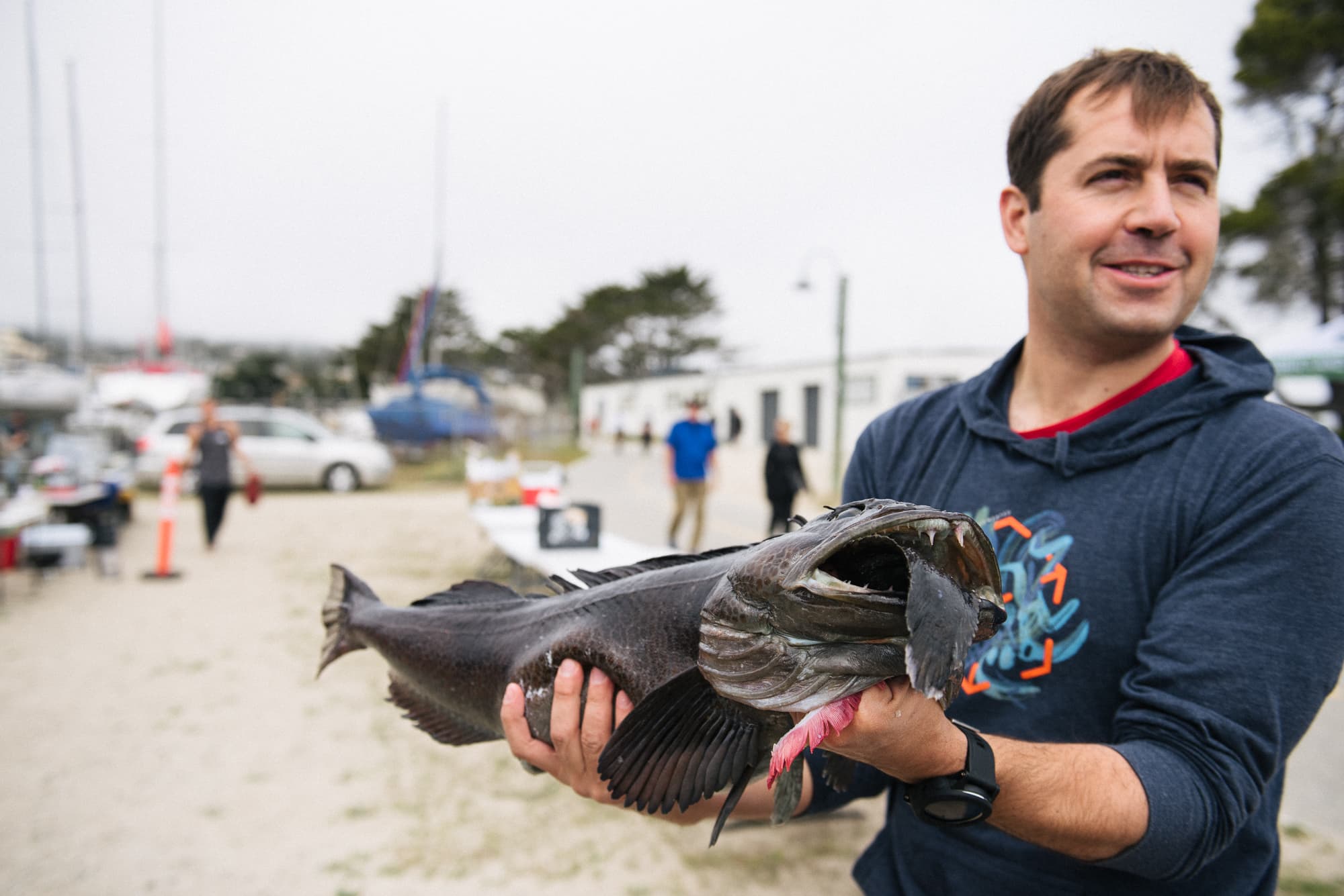 lingcod with monkey faced eel
