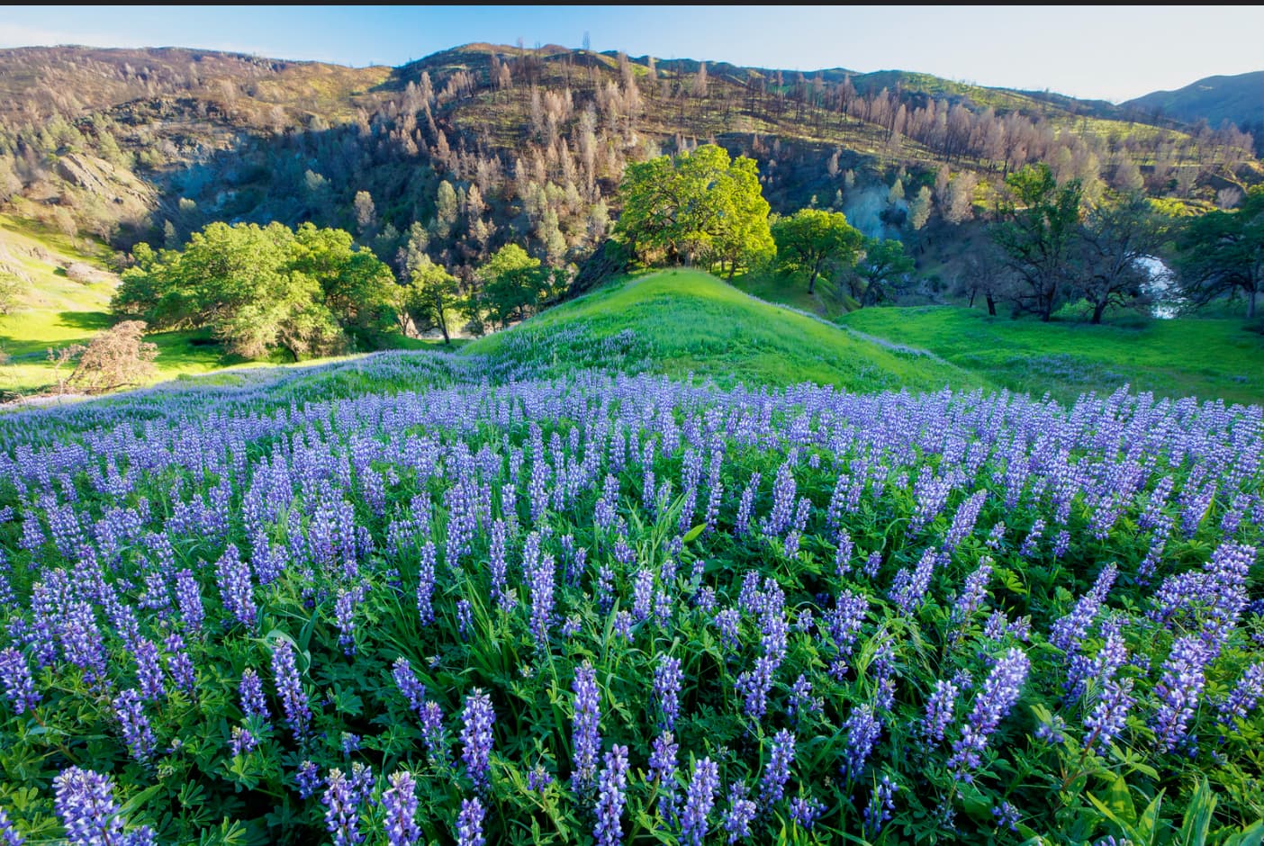 berryessa snow mountain national monument