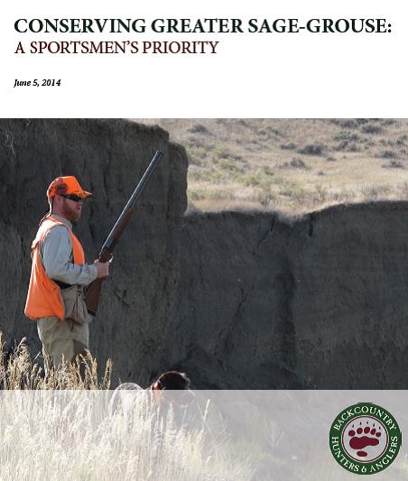 Sage-Grouse-Report.jpg