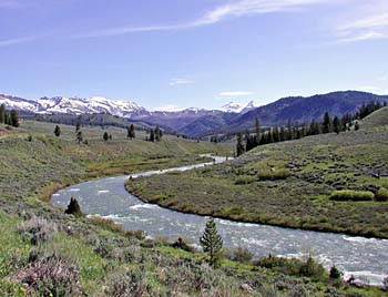 snake_river_letter.jpg