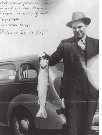 Southern California steelhead LA river