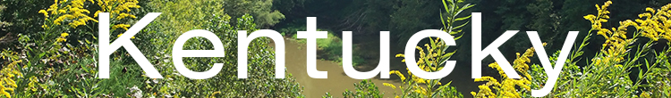 kentucky.jpg