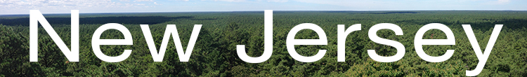 newjersey.jpg